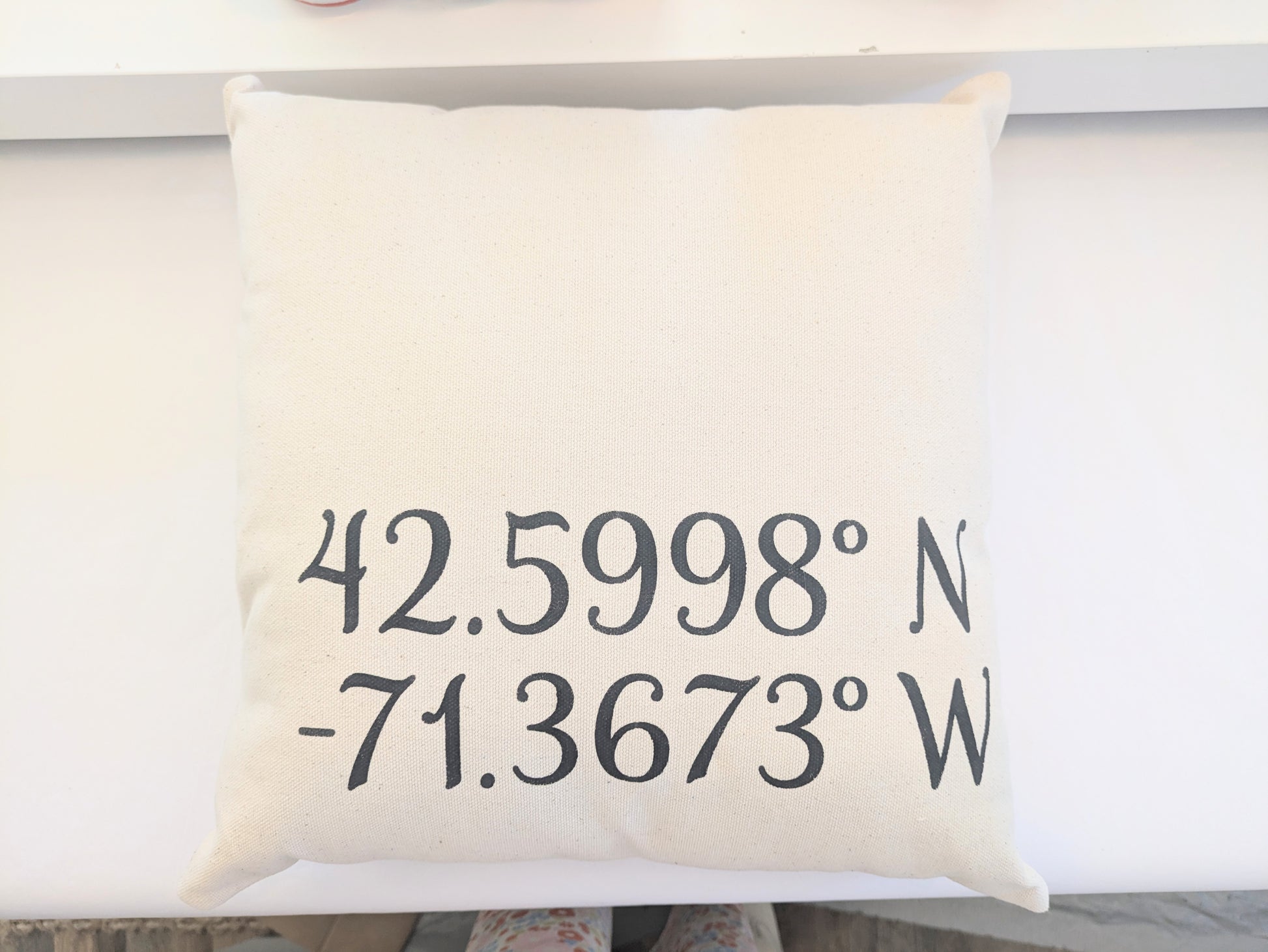 Gps Coordinates Pillow The Druzy Rose