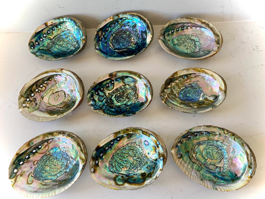 Abalone Shell Smudge Bowls Faiza Naturals