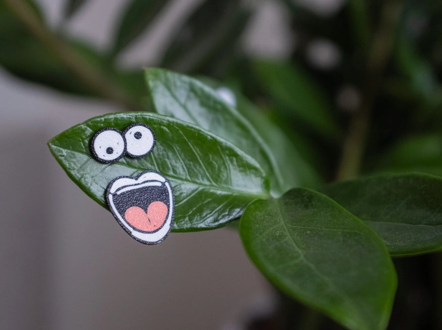 Magnetic Plant Faces | Magnet Charms for Indoor Plants Plant Supply Co