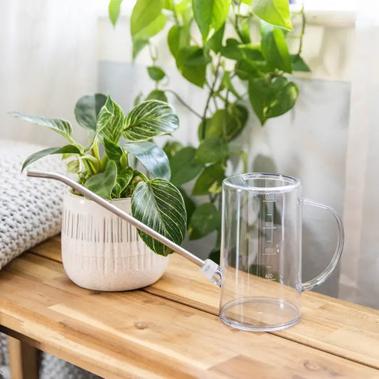 Simply the Best Houseplant Watering Can The Druzy Rose