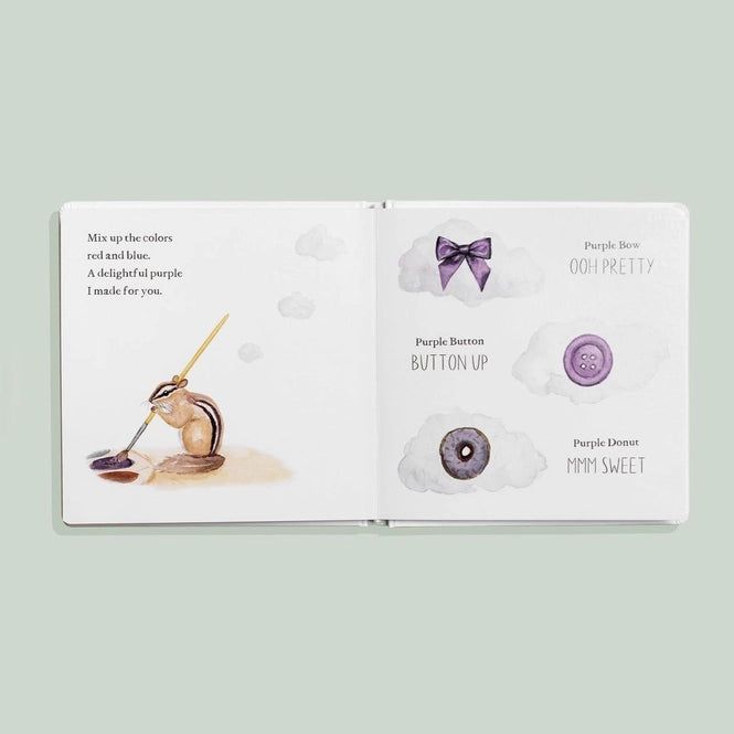 Wishy Washy: A Board Book of First Words and Colors Paige Tate & Co